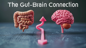 Gut-Brain Connection